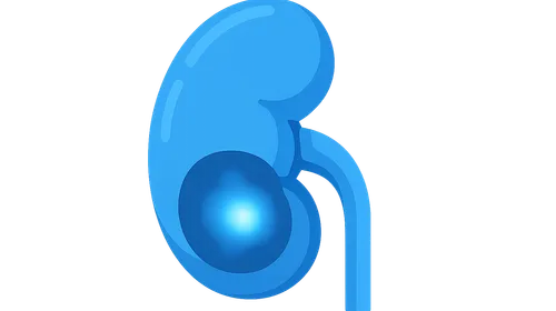 Renal Nuclear Medicine