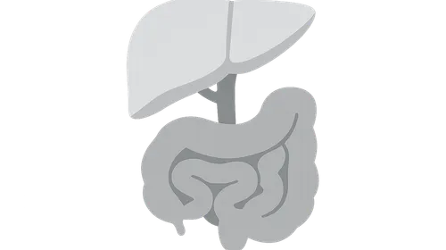 Variations in Visceral Anatomy