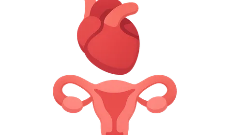 Cardiovascular Health in Menopause