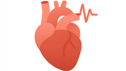 Cardiovascular Responses to Exercise and Stress