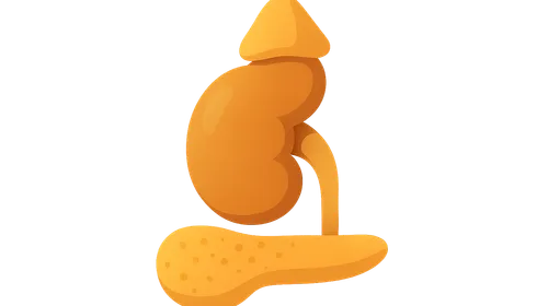 Mineralocorticoid actions