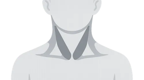 Triangles of the Neck