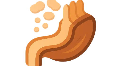 Protein digestion and absorption