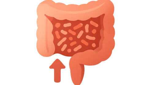 Probiotics and Microbiome Modification