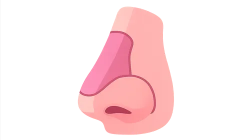 Nasal Reconstruction