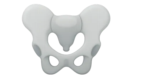 Radiologic landmarks