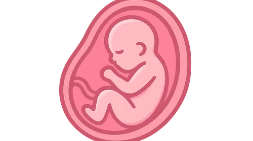 Pregnancy and Delivery