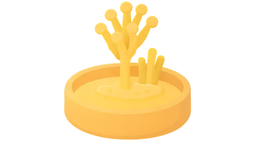 Laboratory Diagnosis of Fungal Infections