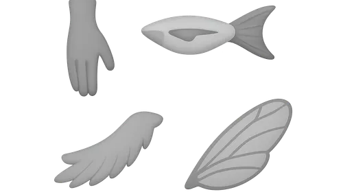 Homologous and Analogous Structures