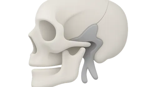 Pterygopalatine Fossa