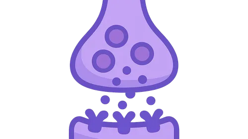 Neurotransmitters and Receptors