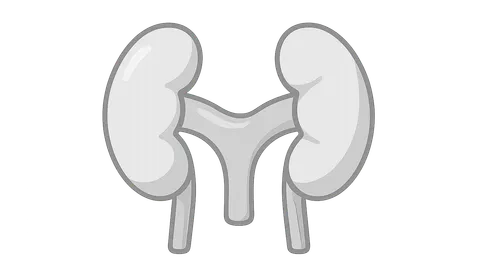 Anatomical variants in imaging