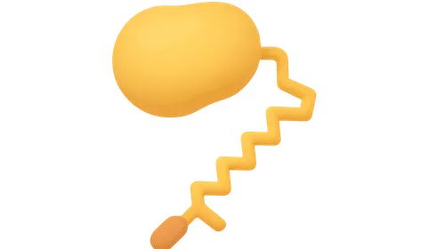 Fatty Acid Synthesis
