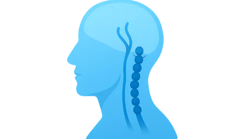 Cervical sympathetic chain