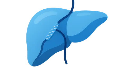 Transjugular Intrahepatic Portosystemic Shunt