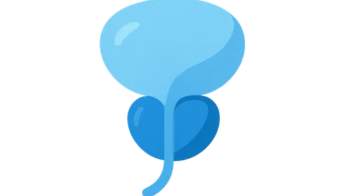 Prostate surgery basics