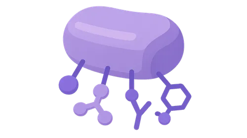 Post-Translational Modifications