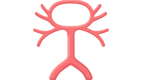Vertebrobasilar system