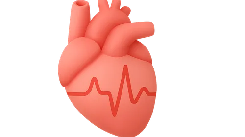 ECG interpretation fundamentals