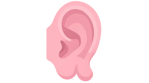 Congenital Anomalies of the Ear