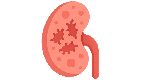 Pyelonephritis and urinary tract infections