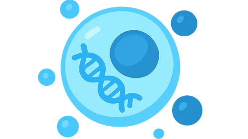 Molecular Physiology