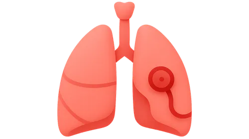 Primary survey (ABCDE)