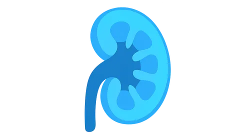 Renal Tubular Disorders
