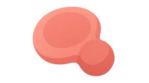 Megaloblastic anemias