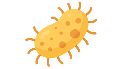 Emerging bacterial pathogens