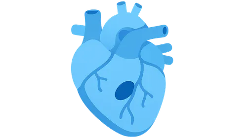 Congenital Heart Disease in Adults