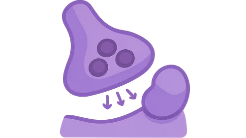 SV2A modulating antiepileptics