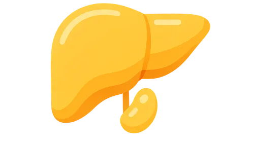 Diagnostic markers of urea cycle function