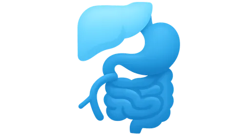 Small Bowel Transplantation