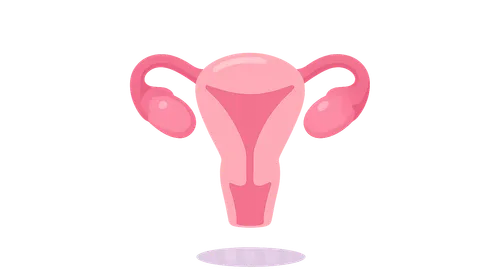 Management Approaches to Menstrual Disorders