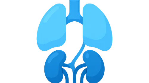 Compensatory Mechanisms