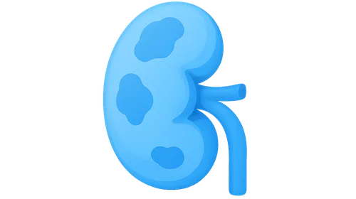 Kidney in Systemic Diseases