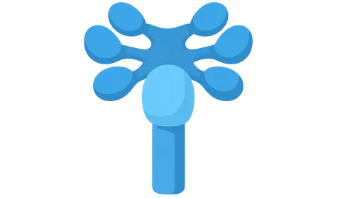 Vestibular nuclei complex