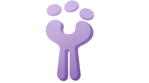 Cell Surface Receptors: Types and Functions