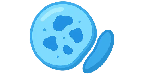 Activator protein deficiencies