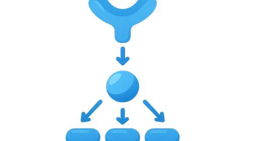Signal Transduction Pathways