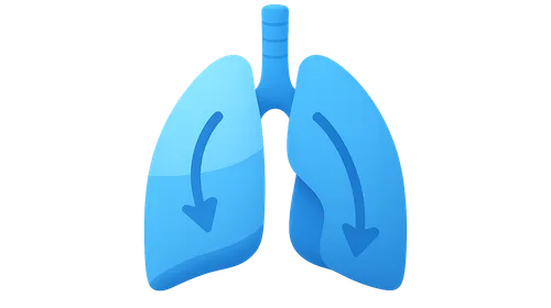Gravity effects on V/Q distribution