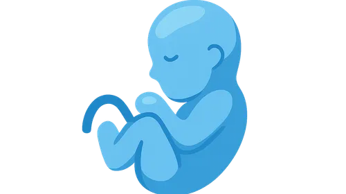 Clinical Aspects of Developmental Anatomy