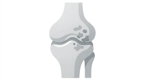 Disease-Modifying Antirheumatic Drugs