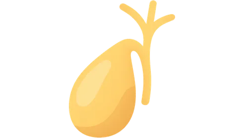 Gallbladder and Biliary Tract Diseases