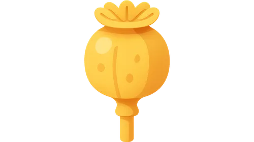 Plant and Food Toxins