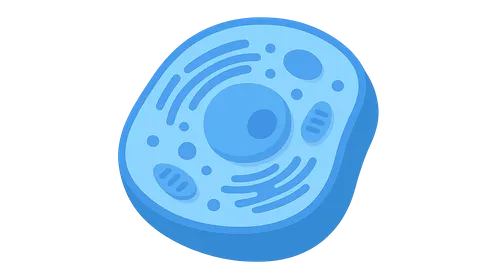 Cellular Ultrastructure