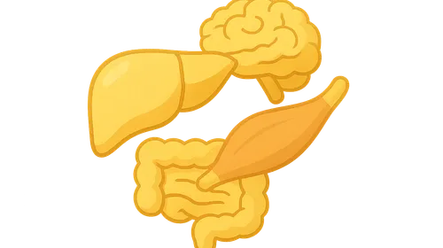 Clinical manifestations by tissue involvement