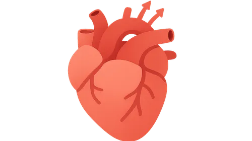 Integrated cardiovascular responses