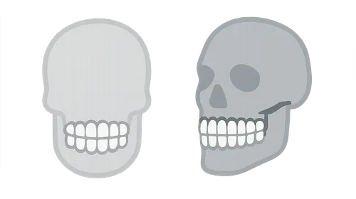 Sex Determination from Dental Features
